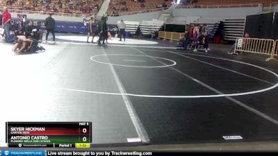 D2-138 lbs Quarterfinal - Skyer Hickman, Canyon View vs Antonio Castro, Flowing Wells High School