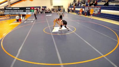 130 lbs Semifinal - Sydney Cannon, Mt. Zion vs Melva Gallego-Sugar, Naperville (Central)