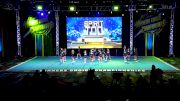 Spirit Too - Bling [2025 Junior Level 1 B 1] 2025 Winners Choice Live at Foxwoods