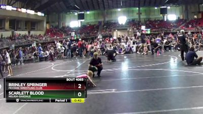 40-42 lbs Semifinal - Brinley Springer, McCook Wrestling Club vs Scarlett Blood, Neligh-Oakdale