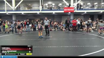 88 lbs Round 4 (8 Team) - Cam Hall, MD Maniacs vs Dean Redzepagic, Rednose