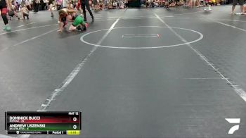 80 lbs Round 4 (8 Team) - Dominick Bucci, M2TCNJ vs Andrew Uszenski, 84 Athletes