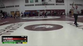141 lbs Semifinal - Luke Peterson, Southwest Minnesota State vs Jacob Prunty, Concordia Moorhead