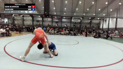 Junior FK - 175 lbs Quarters - David Kim, Alaska Battle Cats Wrestling Club vs Gage Blakeslee, Washington