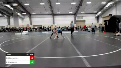 92 lbs Rr Rnd 1 - Cameron Hoezee, Salem Elite Mat Club vs Easton Busho, Pinnacle Wrestling Club