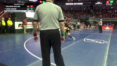 3A-138 lbs Cons. Round 2 - Aiden Winkie, Ankeny vs Sullivan Baccam, Carlisle