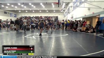 170 lbs Champ. Round 2 - Gabriel Flores, Cchs vs Nicolas Pham, Westminster Lions