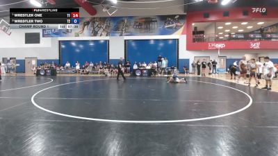 84 lbs Nicolas Estrada, Washington vs Henry Riesen, Indiana