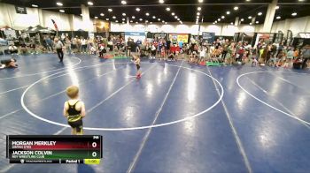 45 lbs Round 5 - Jackson Colvin, Roy Wrestling Club vs Morgan Merkley, Uintah Utes