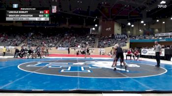 165 lbs Cons. Round 1 - Braylen Livingston, Woodford County vs Lincoln Boblitt, Nelson County