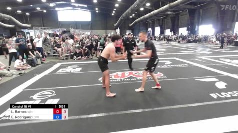 Logan Barnes vs Emiliano Rodriguez 2023 ADCC Arizona Open