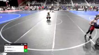 52 lbs Semifinal - Tristen Craft, Purebred Elite / NEWA vs Jordy Smart, Ravage