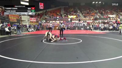 113 lbs Cons. Round 2 - Harry Costa, Wamego Hs vs Lane Allen, Paola Hs