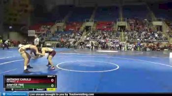 138 lbs Quarterfinals (8 Team) - Anthony Carulli, W2-Minot vs Sawyer Frie, E3-Fargo Davies