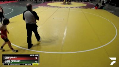 85 lbs Semis & 1st Wrestleback (8 Team) - Ozzie Hanks, Bemidji vs Jacob Peterson, Jackson