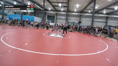 82 lbs Round Of 16 - Liam Davis, York vs Logan Pleskovich, McDonald