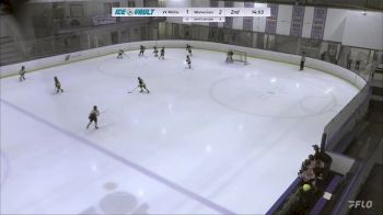 Replay: Home - 2024 VF Militia U8 vs Wolverines U8 | Feb 17 @ 8 AM