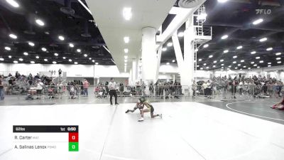 62 lbs Quarterfinal - Roman Carter, Mat Demon WC vs Anthony Salinas Lenox, Pomona Elite