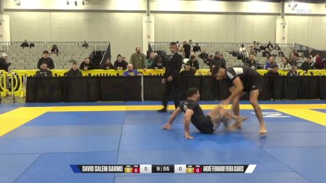 André Fernando Vieira Soares vs David Salem Garmo 2024 World IBJJF Jiu-Jitsu No-Gi Championship