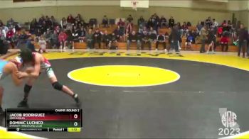 89 lbs Champ. Round 2 - Jacob Rodriguez, Iron Eagles vs Dominic Luchico, Dynasty Wrestling Club