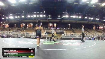 85 lbs Round 3 - Anthony Lodico, Florida Scorpions vs Amaya Martin, Jayhawk Wrestling Club