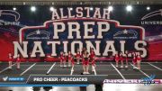 Pro Cheer - Peacoacks [2022 L1.1 Youth - PREP 03/05/2022] 2022 JAMfest Atlanta Classic