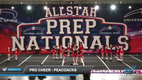 Pro Cheer - Peacoacks [2022 L1.1 Youth - PREP 03/05/2022] 2022 JAMfest Atlanta Classic