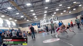 68 lbs 3rd Place Match - Alex W. Strobl, Darkhorse Wrestling vs Aria Bushaw, Carolina Reapers