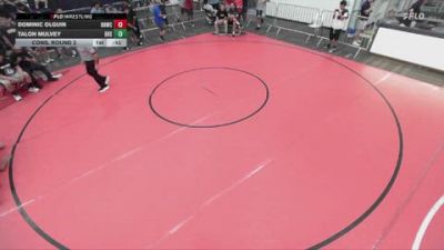 126 lbs Cons. Round 2 - Dominic Olguin, Rough House Wrestling Club vs Talon Mulvey, Brea High School