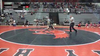113 lbs Semifinal - Cameron Moeckly, Ankeny Centennial vs Cole Bruck, North Scott