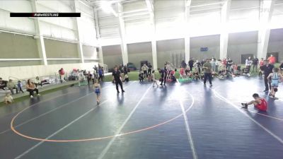 49 lbs Semifinal - Callan Gonzales, Champions Wrestling Club vs Finn Rikala, Pleasant Grove/TUG