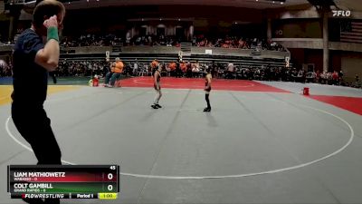 45 lbs Finals (8 Team) - Liam Mathiowetz, Wabasso vs Colt Gambill, Grand Rapids