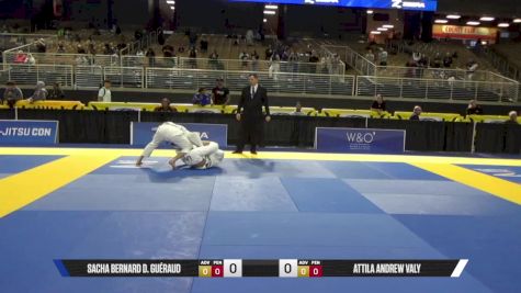 Attila Andrew Valy vs Sacha Bernard D. Guéraud 2025 Pan Jiu Jitsu IBJJF Championship