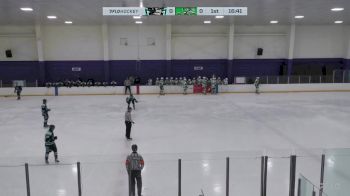 Replay: Home - 2025 Royals vs Totems | Jan 17 @ 7 PM