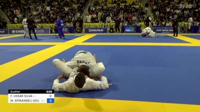 FELIPE CESAR SILVA vs MATHEUS SPIRANDELI SOUZA 2024 World Jiu-Jitsu IBJJF Championship