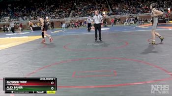 D4-138 lbs Cons. Round 1 - Anthony Wise, Charlevoix HS vs Alex Baker, Dansville HS
