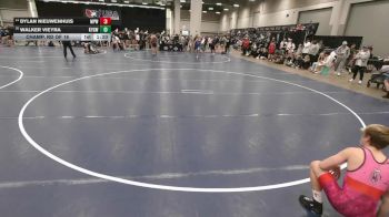 113 lbs Champ. Rd Of 16 - Walker Vieyra, Kansas Young Guns Wrestling Club vs Dylan Nieuwenhuis, Michigan Premier WC