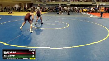 125 lbs Champ. Round 1 - Blake Virnig, Pierz vs Carter Shea, Dover-Eyota