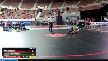 D3-113 lbs Quarterfinal - Che Jenkins, Salpointe Catholic vs Angelo Martinez, Mesquite