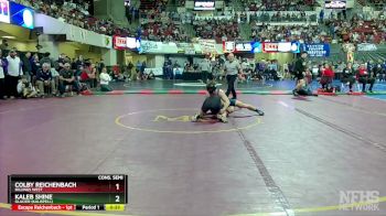 AA - 145 lbs Cons. Semi - Kaleb Shine, Glacier (Kalispell) vs Colby Reichenbach, Billings West