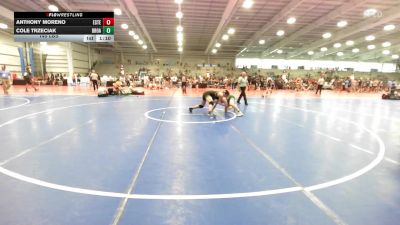 145 lbs Rr Rnd 2 - Anthony Moreno, Estebuilt WC vs Cole Trzeciak, Broad Axe Gold