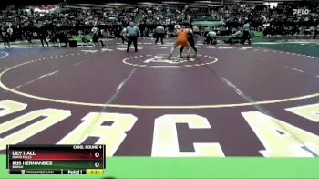132 lbs Cons. Round 4 - Iris Hernandez, Borah vs Lily Hall, Idaho Falls
