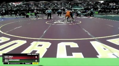 132 lbs Cons. Round 4 - Iris Hernandez, Borah vs Lily Hall, Idaho Falls