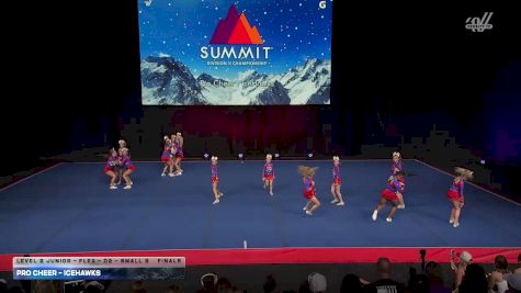 Pro Cheer - IceHawks [2026 L2 Junior - Flex - D2 - Small B Finals] 2026 The D2 Summit