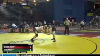 195 lbs Champ. Round 3 - Ty Csencsits, Saucon Valley vs Auggie Warke, Bethlehem Catholic