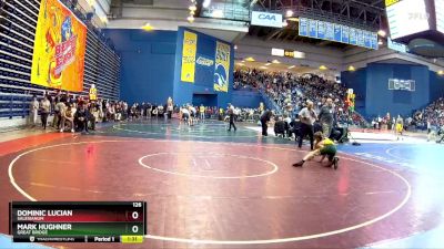 126 lbs Champ. Round 1 - Dominic Lucian, Salesianum vs Mark Hughner, Great Bridge