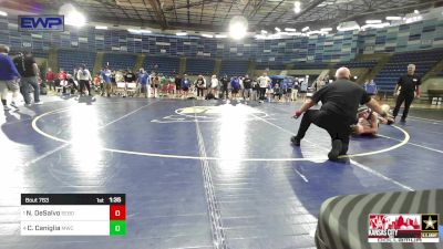 113 lbs Semifinal - Nico DeSalvo, Sebolt Wrestling Academy vs Cole Caniglia, MWC Wrestling Academy, NE