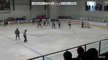 Replay: Home - 2023 Wild vs Levis | Dec 14 @ 10 AM