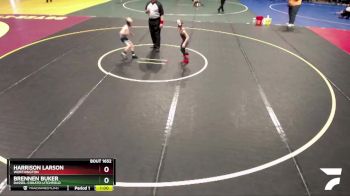 57 lbs Semifinal - Harrison Larson, Worthington vs Brennen Buker, Dassel-Cokato-Litchfield