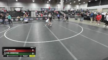 83 lbs Champ. Round 2 - Judd Riggins, MI vs Flynn Arnestad, VA